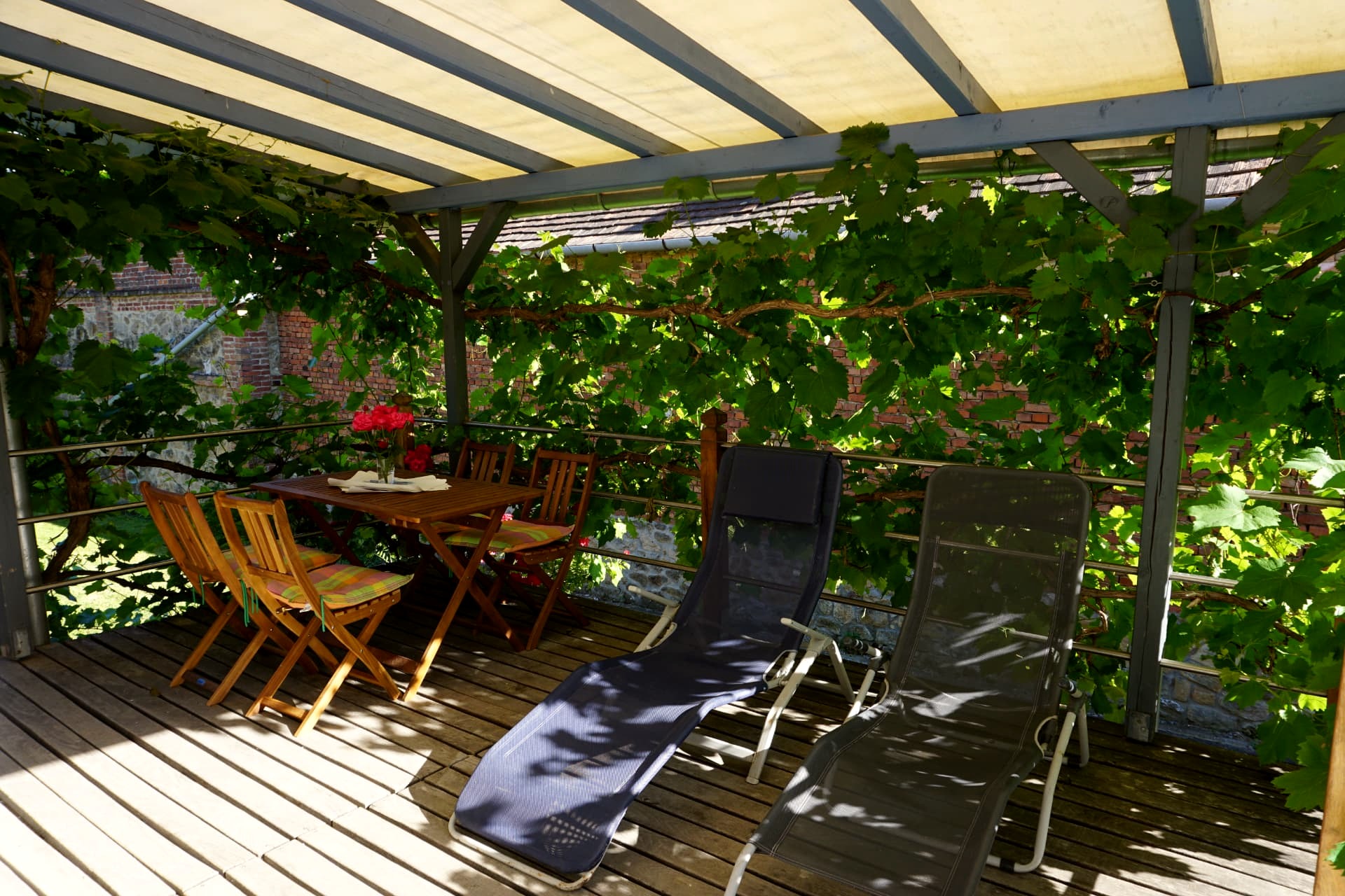 The Hideout, Terrasse unter Weinlaub